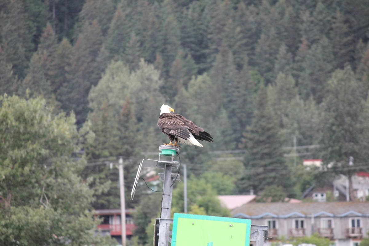 Anchorage, United States