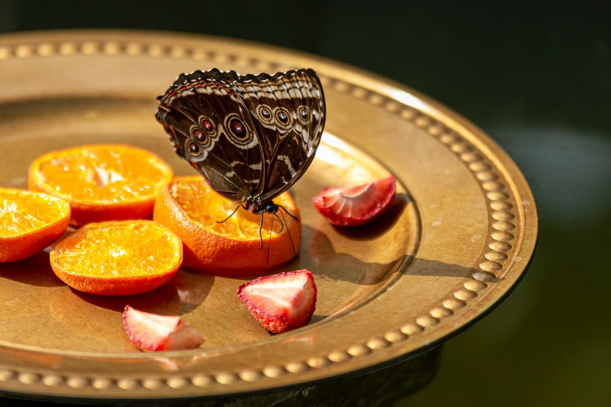 Cincinnati, United States