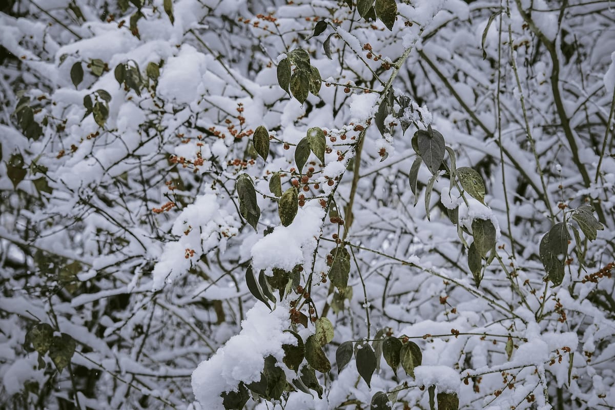 Des Moines, United States