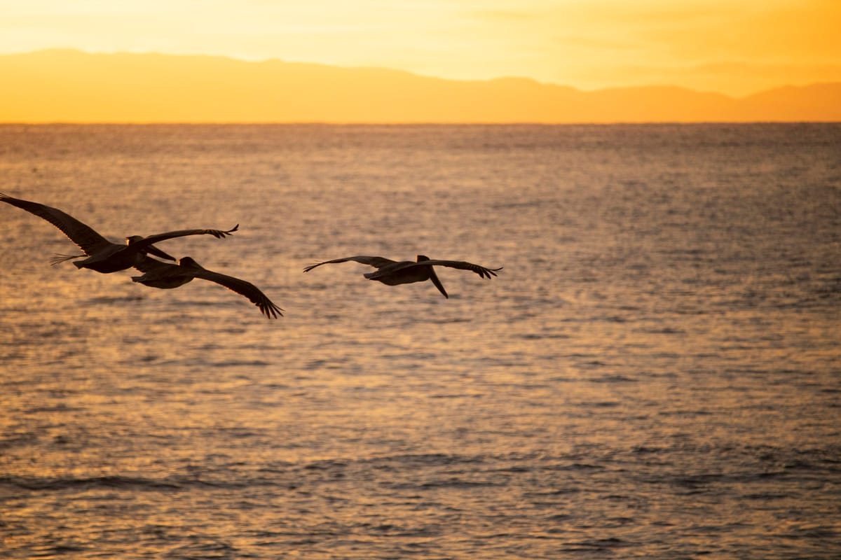 Newport Beach, United States