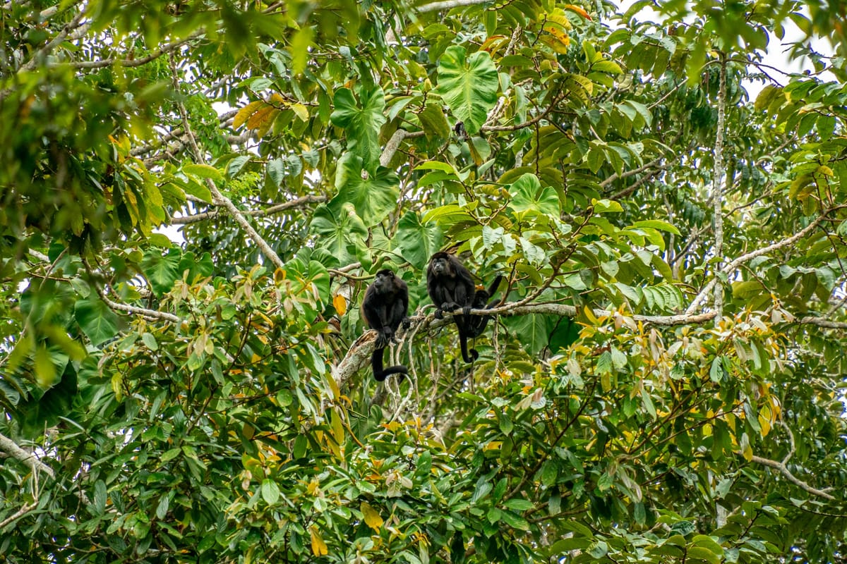 Puerto Viejo de Talamanca, Costa Rica