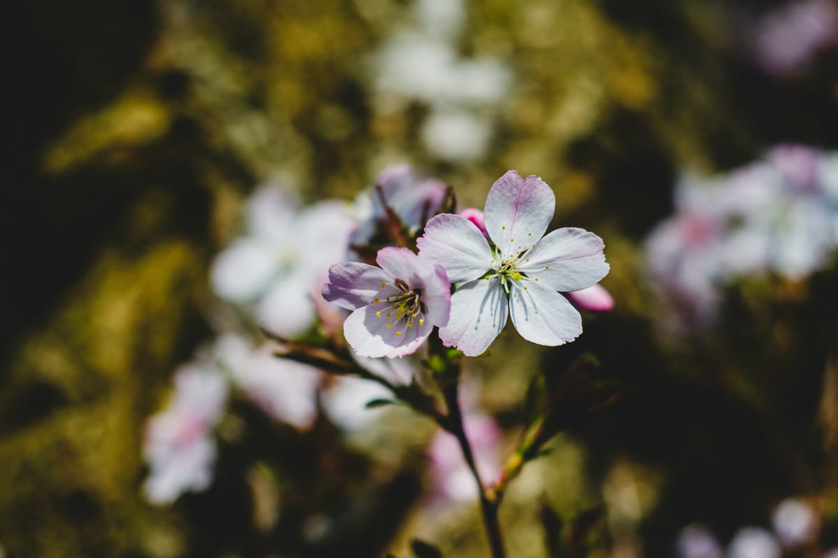 Sheffield, United Kingdom