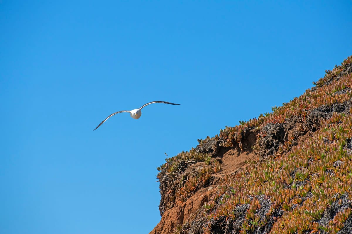 Viña del Mar, Chile