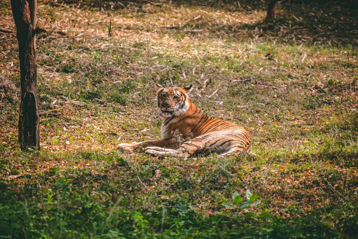 Visakhapatnam, India
